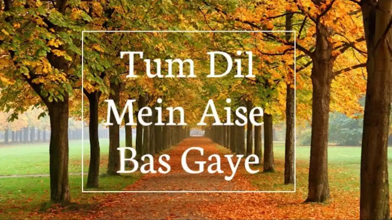 Tum Dil Me Aise Bas Gaye Lyrics (Dil Me Jaan Me)